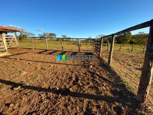 Sítio e chácara venda em Região Geográfica Imediata de Sete Lagoas, Cordisburgo