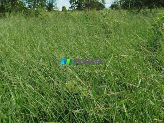 Sítio e chácara venda em Região Geográfica Imediata de Abaeté, Abaeté