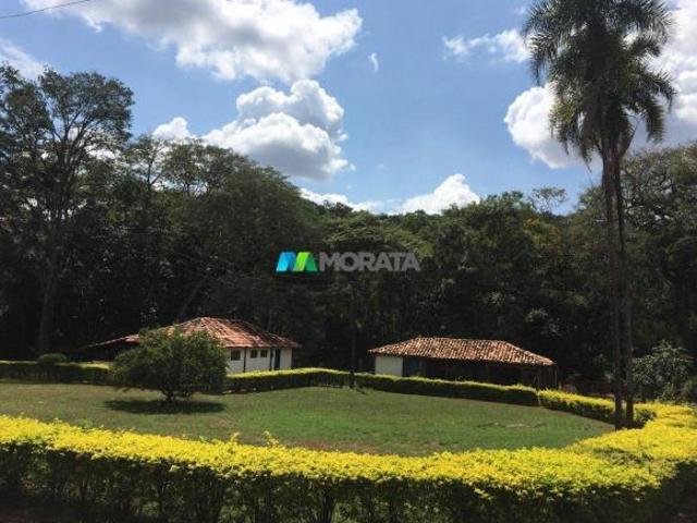 Sítio e chácara venda em Curvelo, Região Geográfica Intermediária de Belo Horizonte