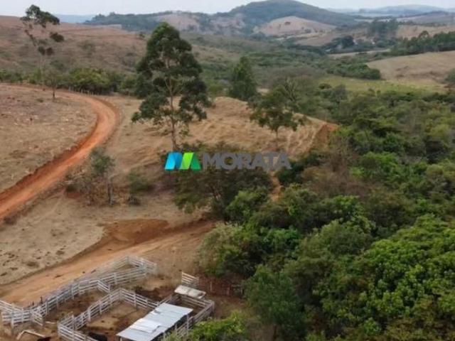 Sítio e chácara venda em Oliveira, Região Geográfica Intermediária de Divinópolis