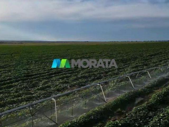 Sítio e chácara venda em Região Geográfica Imediata de Pirapora, Buritizeiro