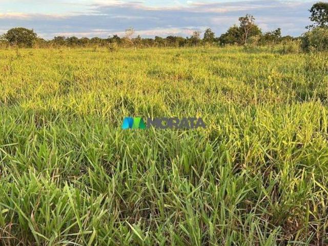 Sítio e chácara venda em Região Geográfica Imediata de Pirapora, Buritizeiro