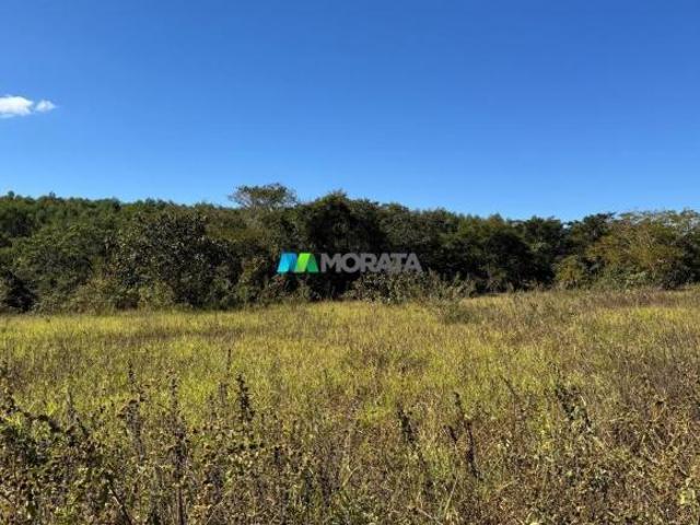 Sítio e chácara venda em Região Geográfica Imediata de Curvelo, Curvelo