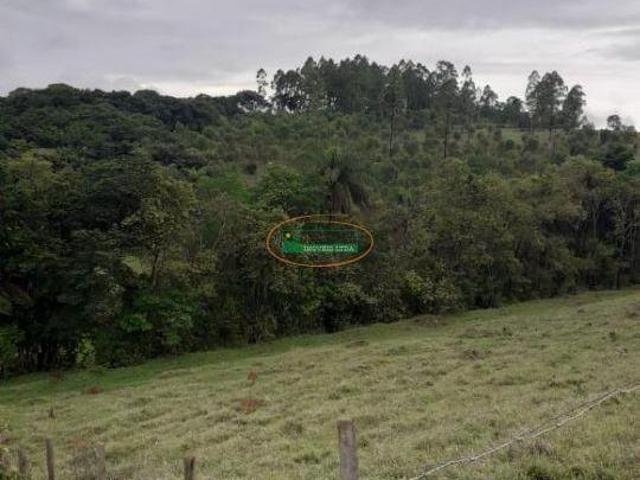 Sítio e chácara venda em Região Geográfica Imediata de Conselheiro Lafaiete, Congonhas