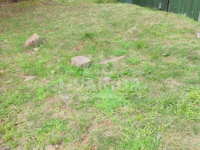 Terreno venda em Região Geográfica Imediata de Porto Alegre, Região Metropolitana de Porto Alegre