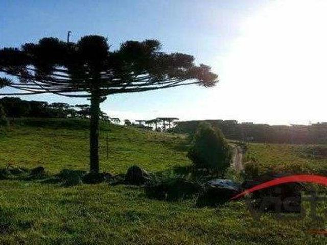 Sítio e chácara venda em Vila Seca, Caxias do Sul
