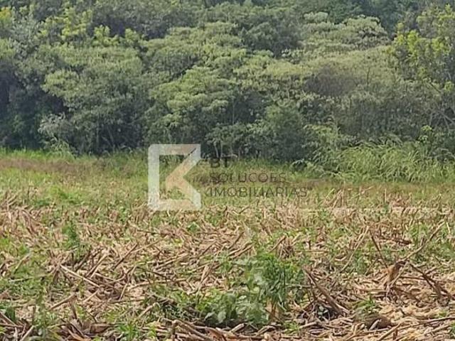 Sítio e chácara venda em Monte Mor