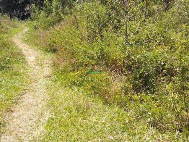 Terreno venda em Região Geográfica Imediata de Conselheiro Lafaiete, Jeceaba