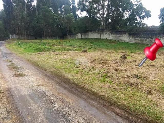 Terreno venda em Região Geográfica Imediata de Curitiba, Região Metropolitana de Curitiba