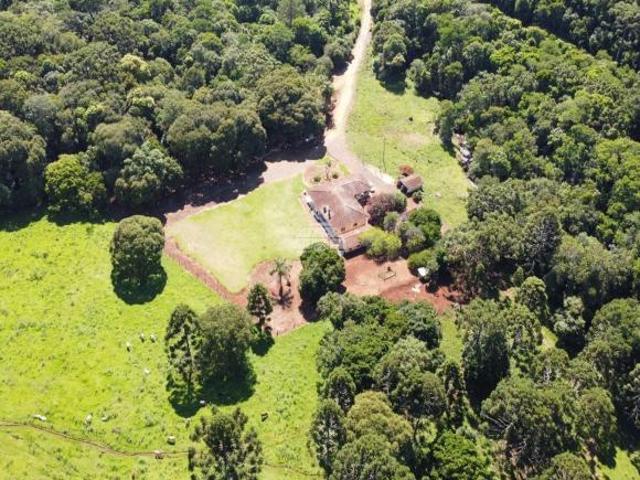Sítio e chácara venda em Região Geográfica Imediata de Guarapuava, Candói