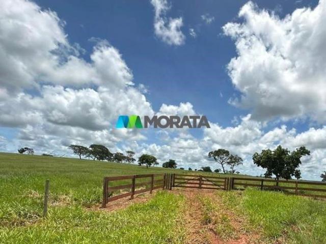 Sítio e chácara venda em Região Geográfica Imediata de Uberlândia, Campina Verde
