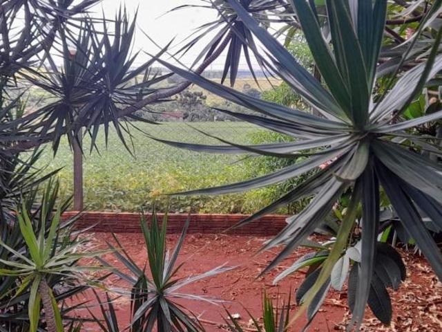 Sitio venda em Londrina, Centro Histórico
