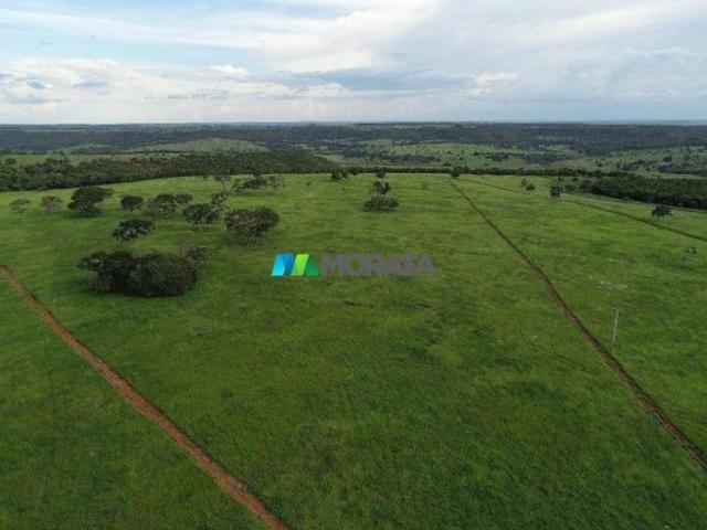 Sítio e chácara venda em Região Geográfica Imediata de Uberlândia, Campina Verde