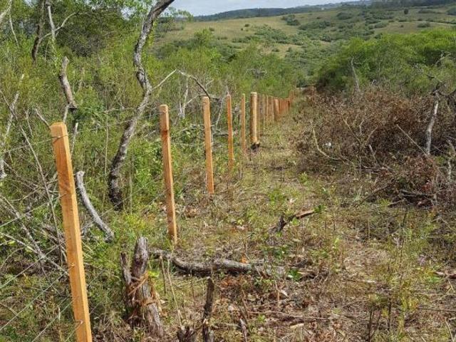Terreno venda em Região Geográfica Imediata de Pelotas, Arroio Grande