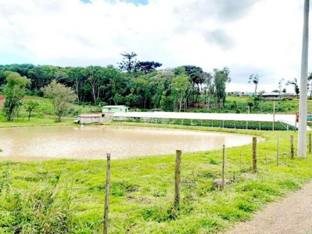 Terreno venda em Região Geográfica Imediata de Caxias do Sul, Ipê