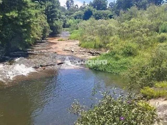 Sítio e chácara venda em Região Geográfica Imediata de Ponta Grossa, Carambei