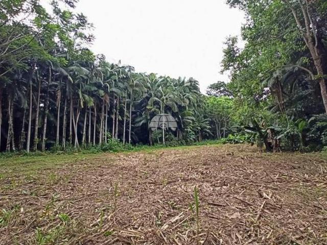 Terreno venda em Rocio, Morretes