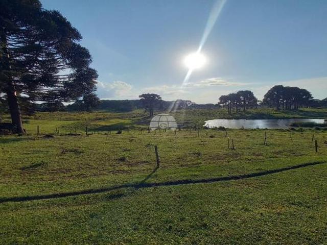 Sítio e chácara venda em Região Geográfica Imediata de Vacaria, Monte Alegre dos Campos