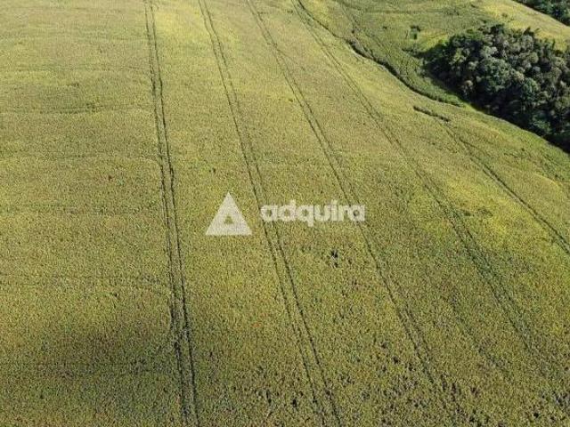 Sítio e chácara venda em Região Geográfica Imediata de Ponta Grossa, Castro