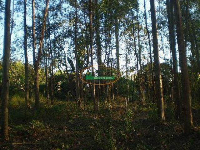Terreno venda em Região Geográfica Imediata de Conselheiro Lafaiete, São Brás do Suaçuí
