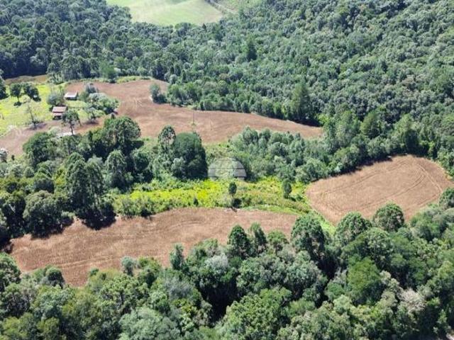 Sítio e chácara venda em Região Geográfica Imediata de Guarapuava, Goioxim