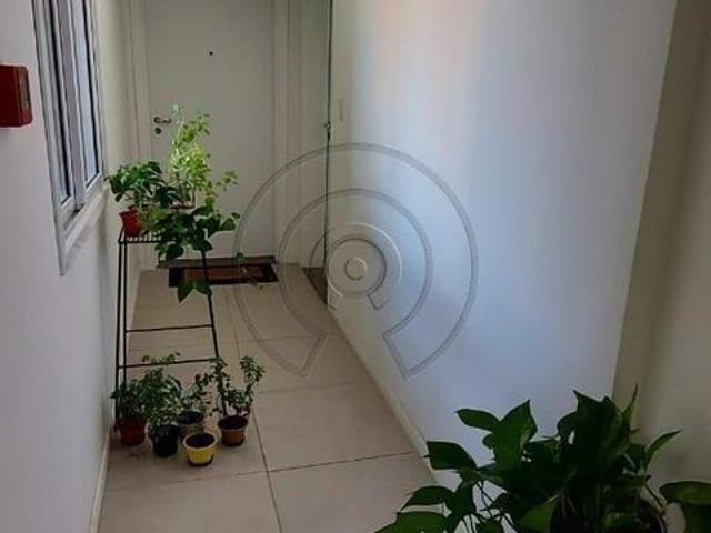 Apartamento aluguel em Rio Grande