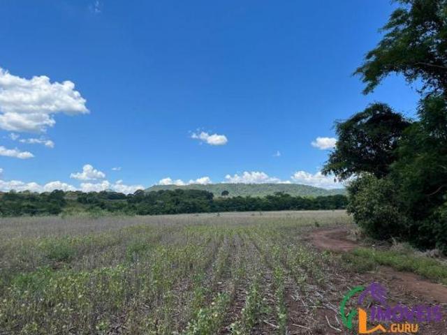 Sítio e chácara venda em Região Geográfica Imediata de Campo Grande, Sidrolândia