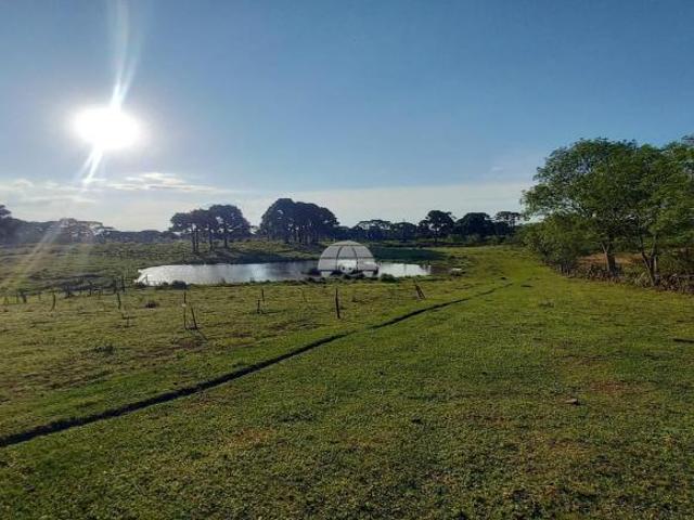 Sítio e chácara venda em Região Geográfica Imediata de Vacaria, Monte Alegre dos Campos