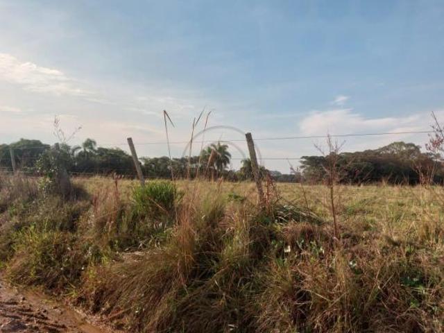 Terreno venda em São Lourenço do Sul, Região Geográfica Intermediária de Pelotas