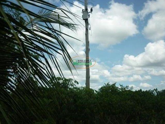 Sítio e chácara venda em Região Geográfica Imediata de São Francisco, São Francisco