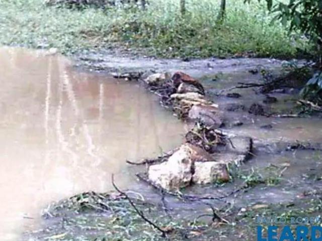 Sítio e chácara venda em Região Imediata de Campinas, Região Metropolitana de Campinas