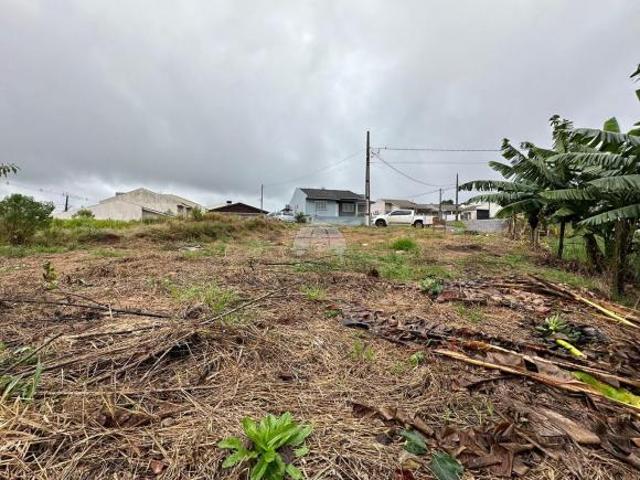 Terreno venda em Região Geográfica Imediata de Pato Branco, Região Sul