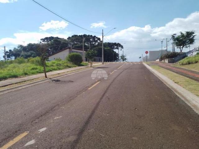 Terreno venda em Região Geográfica Imediata de Guarapuava, Guarapuava