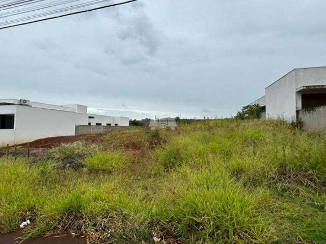 Terreno venda em Região Geográfica Imediata de Pato Branco, Região Sul