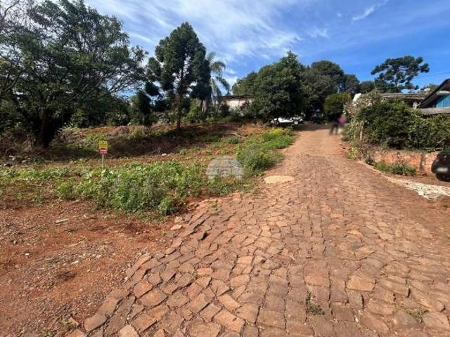 Terreno venda em Região Geográfica Imediata de Pato Branco, Região Sul
