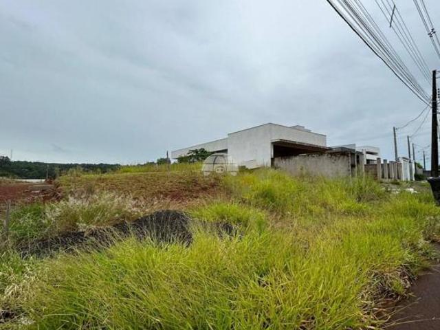 Terreno venda em Região Geográfica Imediata de Pato Branco, Região Sul
