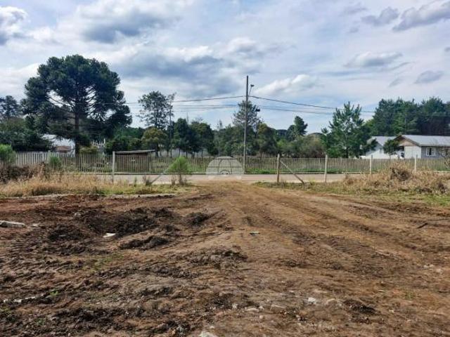 Terreno venda em Região Geográfica Imediata de Curitiba, Região Metropolitana de Curitiba