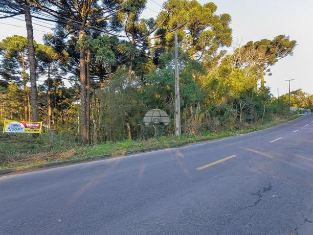Terreno venda em Região Geográfica Imediata de Curitiba, Região Metropolitana de Curitiba