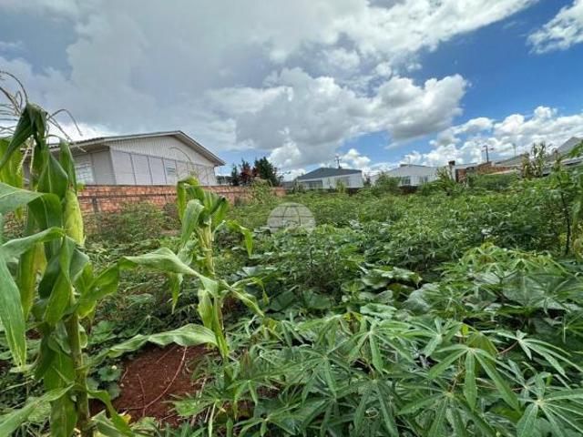 Terreno venda em Região Geográfica Imediata de Pato Branco, Região Sul