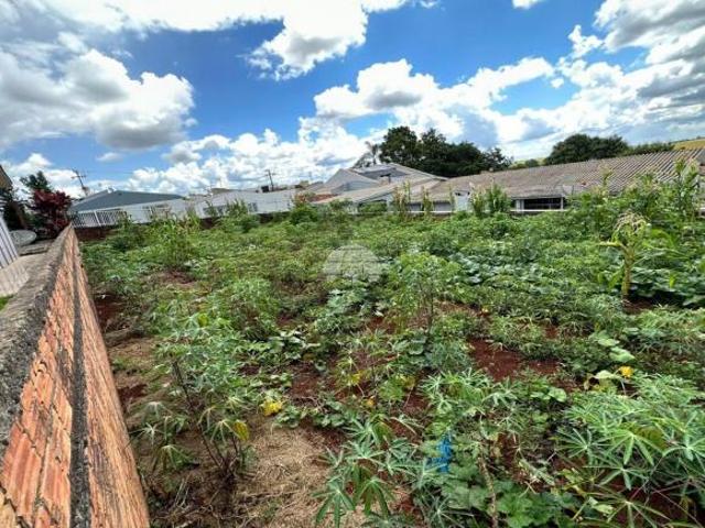 Terreno venda em Região Geográfica Imediata de Pato Branco, Região Sul