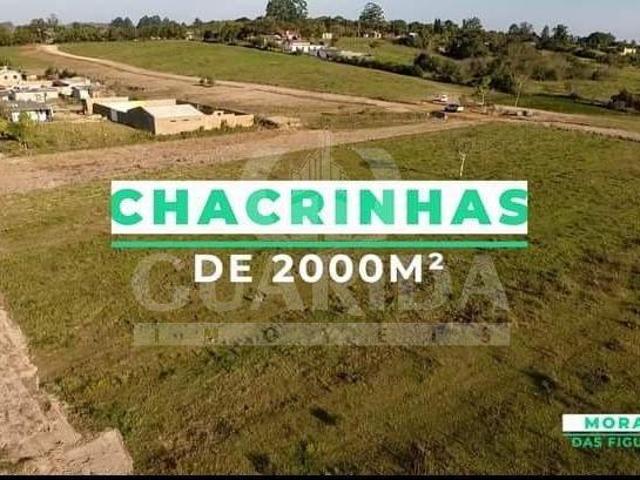 Sítio e chácara venda em Região Geográfica Imediata de Porto Alegre, Região Metropolitana de Porto Alegre