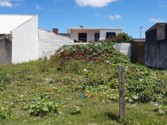 Terreno venda em Região Geográfica Imediata de Pelotas, Aglomeração Urbana do Sul