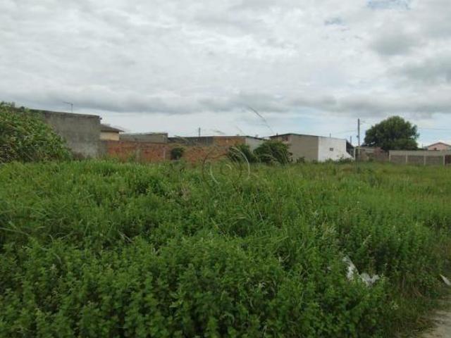 Terreno venda em Rio Grande