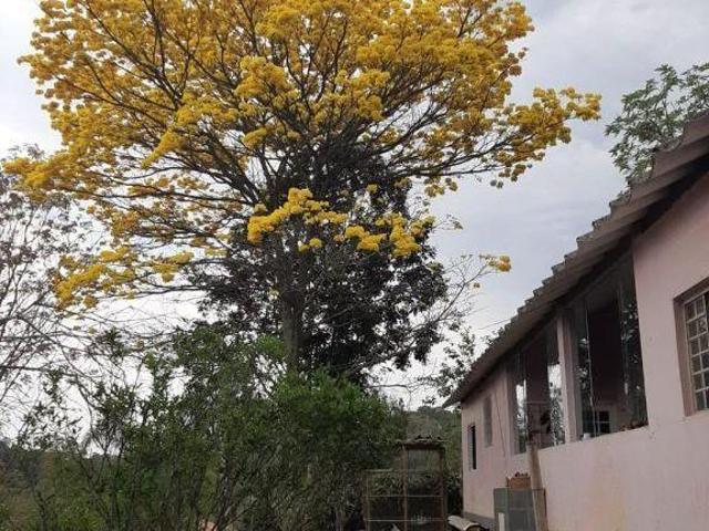Sítio e chácara venda em Itapevi, São Paulo