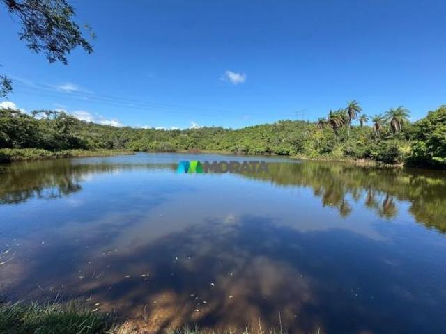 Sítio e chácara venda em Santa Luzia