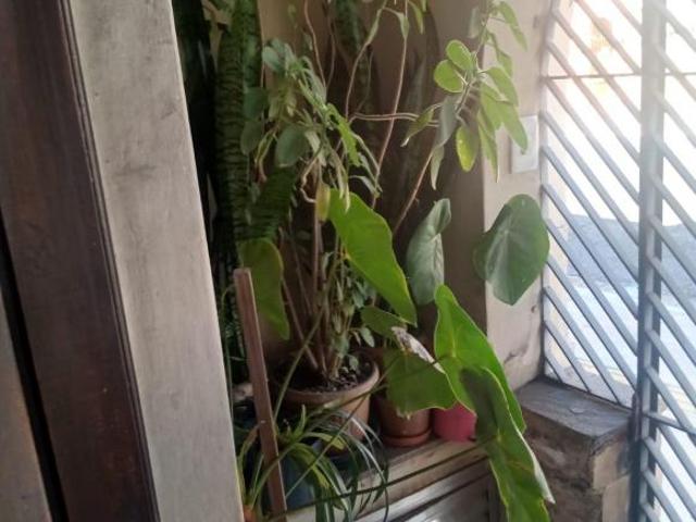 Casa venda em Ipiranga, São Paulo