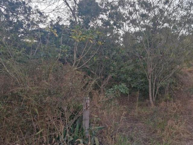 Sítio e chácara venda em Região Geográfica Imediata de Anápolis, Região Integrada de Desenvolvimento do Distrito Federal e Entorno