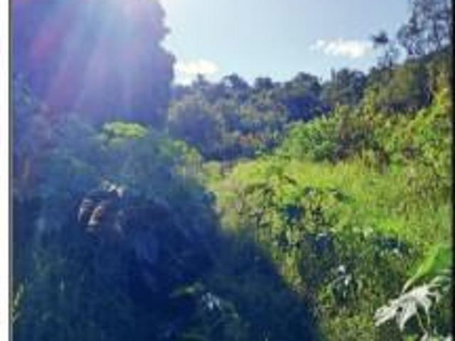 Terreno venda em Campo Mourão, Região Geográfica Intermediária de Maringá