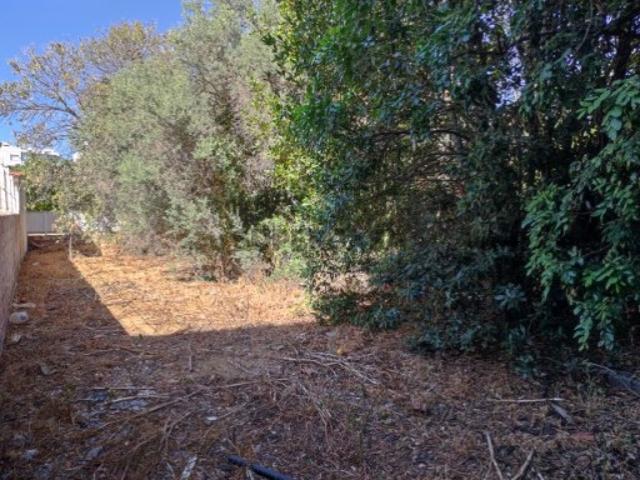 Terreno venda em Loulé, Faro
