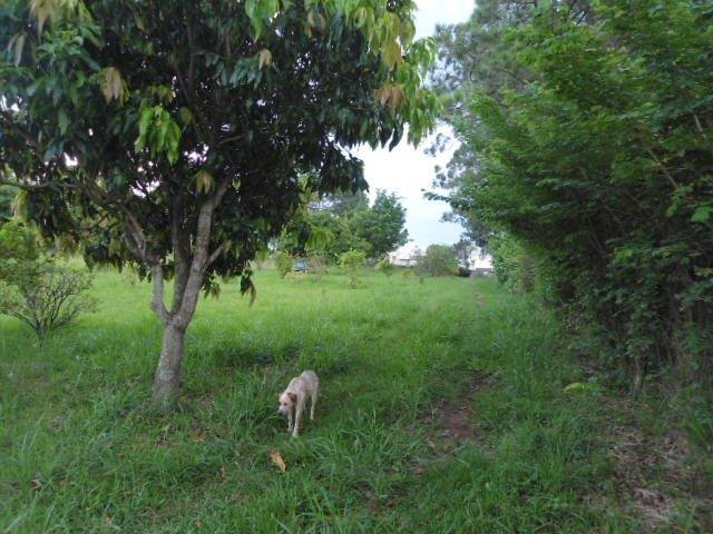 Ponto Comercial venda em Região Imediata de Sorocaba, Região Metropolitana de Sorocaba